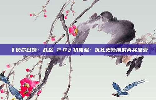 《使命召喚：戰(zhàn)區(qū) 2.0》初體驗：優(yōu)化更新前的真實感受